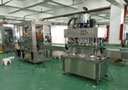 全自動(dòng)膏液灌裝旋蓋生產(chǎn)線