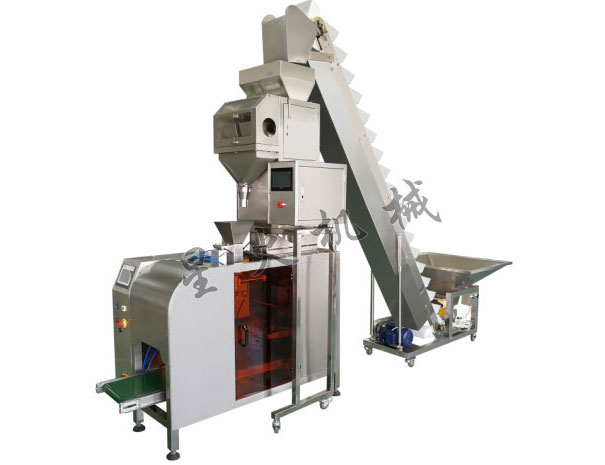 全自動單工位顆粒定量包裝機